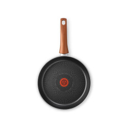 Сковорода 26 PERFORMA TEFAL 4190126