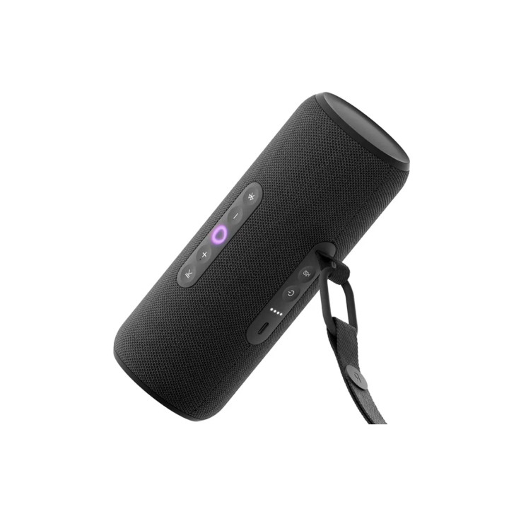 Портативная умная колонка Яндекс Станция Стрит с Алисой, 30 Вт, Черный