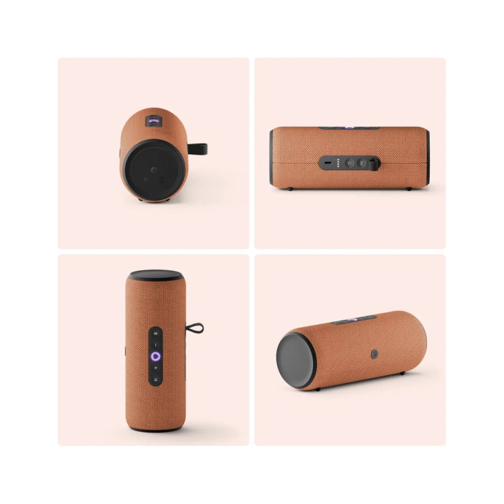 Портативная умная колонка Яндекс Станция Стрит с Алисой, 30 Вт, Оранжевый