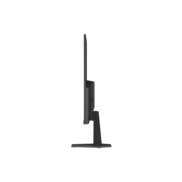 Монитор 23.8" Gigabyte GS24F14A EK